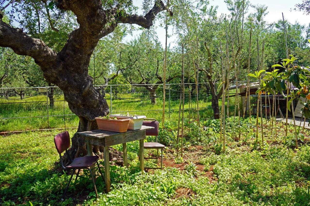 Veni Olive House Villa กาลามาตา ภายนอก รูปภาพ